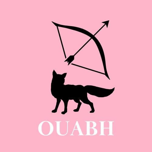 logo a the collection of once upon a broken heart the fox and the archer merch