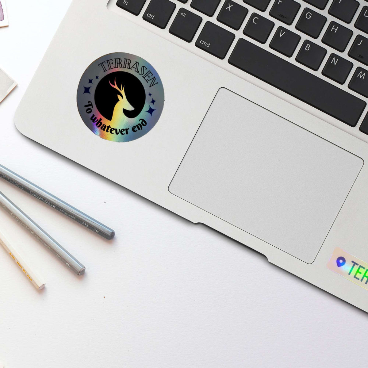 Bookish Queen Throne of Glass Stickers Throne of Glass Sticker Terrasen Lord of the North Badge